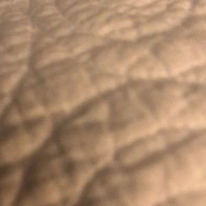 Meet your Posher, Jeannie